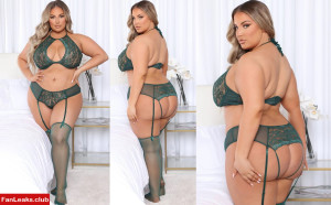 Ashley Alexiss Onlyfan Leaked Photo 243