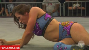 Mickie James Onlyfan Leaked Photo 331