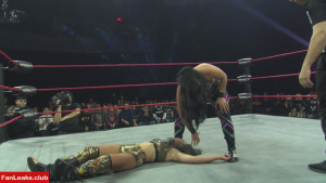 Mickie James Onlyfan Leaked Photo 374