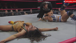 Mickie James Onlyfan Leaked Photo 489