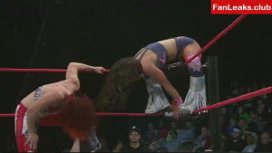 Mickie James Onlyfan Leaked Photo 648