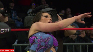 Mickie James Onlyfan Leaked Photo 747